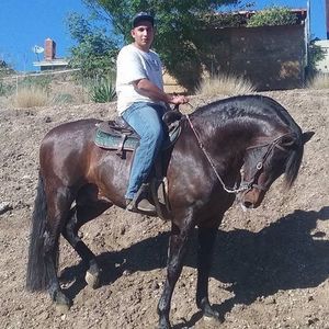 Meet your Posher, Angel